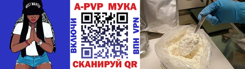 A PVP СК  мориарти как зайти  Поворино  ссылка на мегу зеркало 